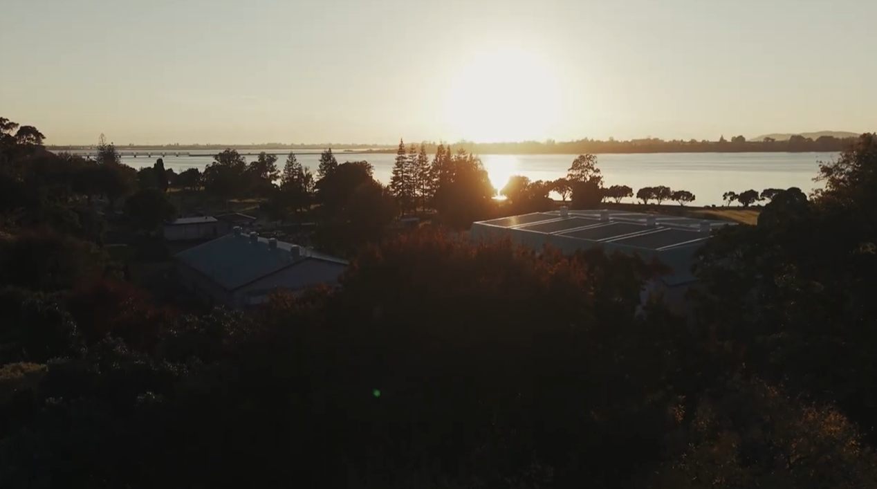 The Tauranga harbour