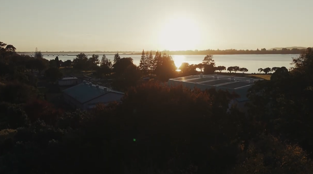 Tauranga harbour at golden hour